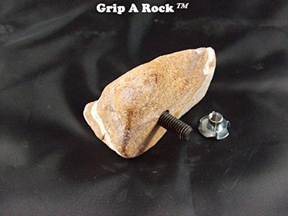 15 Rock Climbing Holds, Rock Climbing Equipment, Adult & Kids Climbing Wall, Bolt-ON