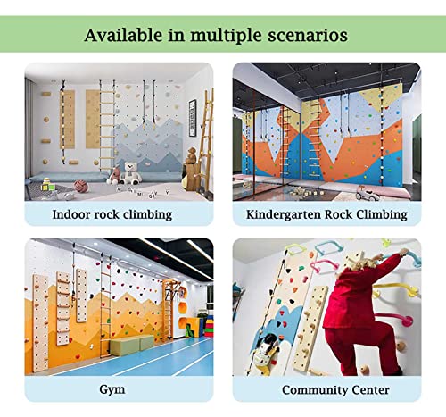 Resin Rock Climbing Holds - 10 Pcs Premium Screw-On Kits for Beginners, Ideal for Kids and Teens Climbing Walls - size: Plank installation