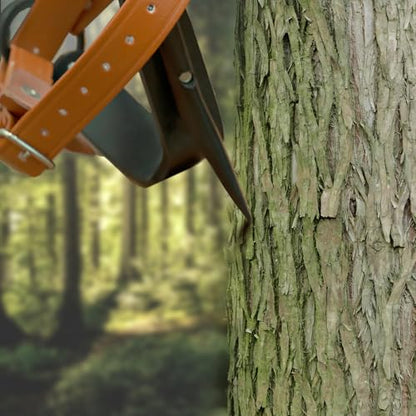 Tree Climbing Spikes Set,Tree Climbing Gear, 1 Pair Alloy Steel Climbing Spurs,350lbs Load Capacity, Arborist Equipment for Climbers, Fruit Picking and Lumberjack - color: Brown Climbing Spikes Set C