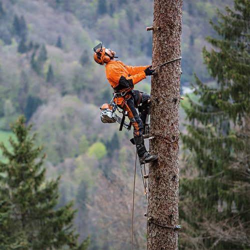 Tree Climbing Gear, Tree Climbing Spikes， with Adjustable Climbing Straps and Steel Core Flip Line Arborist Equipment for Climbers, Hunting, Fruit Picking Tree Climbing Equipment - size: Tree Climbing Kit Orange B