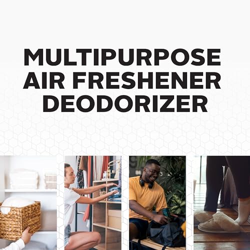 Sof Sole Sneaker Ball Dual Defense Deoderizer For Footware And Workout Gear (2 Pack) - color: Hexagon (Fresh & Clean), style: 2 Pack