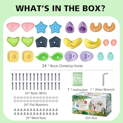 TOPNEW Climbing Holds for Kids, Rock Wall Holds with Hardware - Climbing Rocks for Indoor Outdoor Playground Climbing Wall (24 Pcs) - style: 24 Pcs
