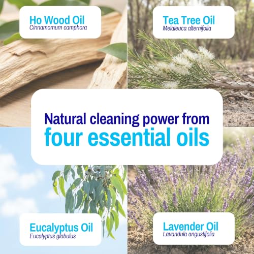 Vapor Fresh Shoe Deodorizer Spray, 4oz (Eucalyptus Lavender) - For Boots, Sneakers, Cleats, Sandals and More - Powerful Shoe Odor Eliminator With Essential Oils (3-pack) - size: 4 Fl Oz (Pack of 3)