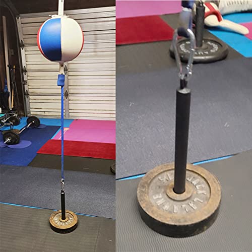 Weight Plate Loading Pin fit 1 inch Weight Plates and 2 inch Olympic Plates for Cable Pulley System LAT Pulldown,Weights Lifting Holder Home Gym for Muscle Strength - style: Loading Pin fit Standard Weight Plates