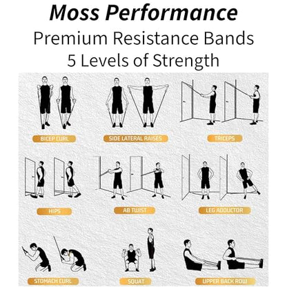Premium Long Tube Resistance Bands with Handles, Set of 5 Strengths with Carrying Bag, for Men and Women, Strength Training Home Gym Workout Equipment