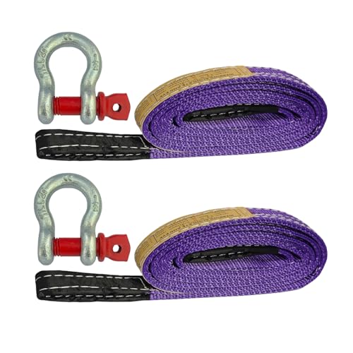 HENBOW Lifting Straps with D Ring Shackle for Hoist,6.5FT× 1In Heavy Duty Flat Lift Sling Web 2200Lbs Safety Work Load，Web Sling Car Tree Saver Winch Recovery - size: 1 Inch × 6.5 FT