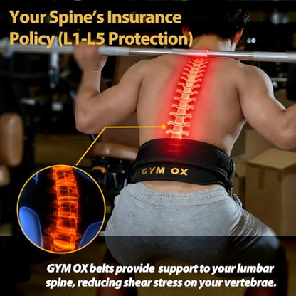 2-in-1 Weightlifting Belt & Dip Belt with Quick-Release Aluminum Buckle - Hybrid Squat Belt for Core Support & Weighted Pull Up Belt with High-Strength Strap - Heavy Duty Neoprene Gym Belt for Men & Women - size: L (33"- 39")