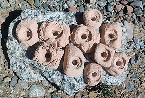 Small Holds Climbing Pack of 10 Bolt-on Holds of Foot and Crimp Size - color: Tan