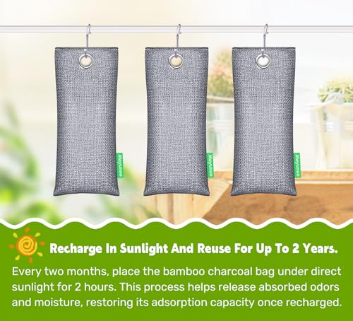 Activated Charcoal Odor Absorber, Natural Shoe Deodorizer Insert, Sneaker Odor Eliminator and Moisture Absorbers. 2 Pack Bamboo Charcoal Air Purifying Bags Shoe Smell Remover - style: 2 Pack Shoe Deodorizer