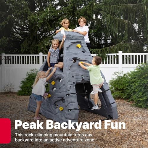 Step2 Skyward Summit for Kids, Climbing Wall Playset for Toddlers, Ages 4 –8 Years Old, Easy to Assemble Kids Outdoor Playground for Backyard