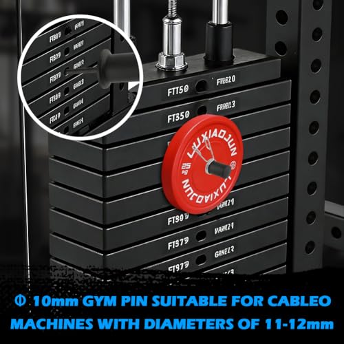 Weight Stack Pin Extender, 10mm x 110mm Gym Pin with Spring Clip Collar for Cable Machine & Home Gym, Fits 2" Weight Plates, Durable Steel Weight Stack Pin