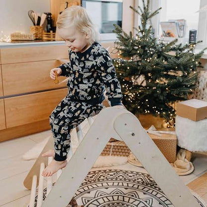 Climbing triangle, Waldorf toys, Climbing triangle, Climbing ladder, Step triangle, Montessori furniture