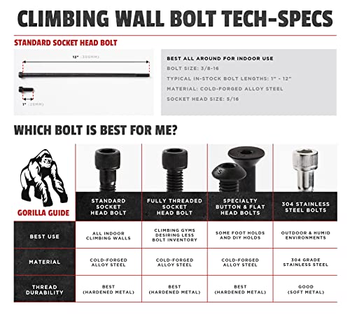 Escape Climbing 25 Pack of 2” Alloy Steel Bolts | Durable Hardware for Rock Climbing Holds | 3/8-16 Socket Head Cap Screw | Designed for Indoor Use