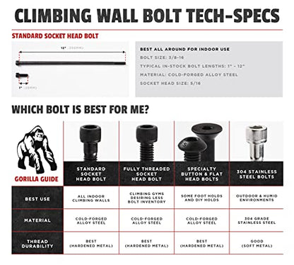 Escape Climbing 25 Pack of 2” Alloy Steel Bolts | Durable Hardware for Rock Climbing Holds | 3/8-16 Socket Head Cap Screw | Designed for Indoor Use