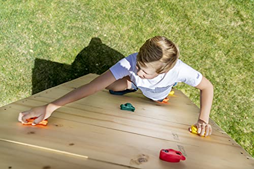 Squirrel Products Rock Climbing Holds for Kids, Deluxe Extra Large Climbing Rocks with Mounting Hardware - DIY Rock Wall Indoor & Outdoor Playground Accessories Wall Climbing Kit - Ages 3+ - style: 10 Pack