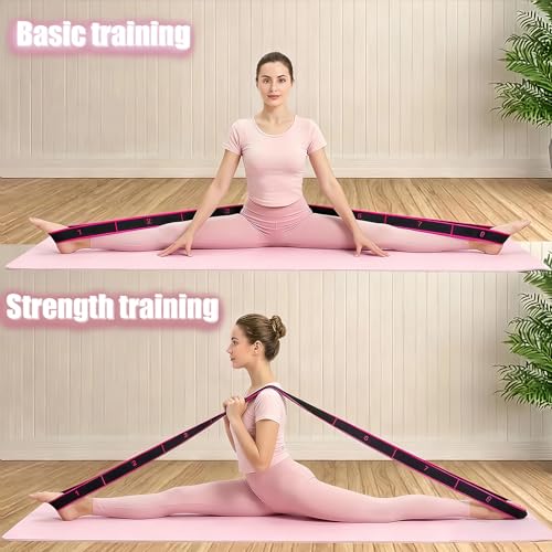 2PCS Fitness Resistance Band with Handles, Numbered 8 Segment Stretch Resistance Bands, Adjustable Stretching Exercise Band for Full Body Workout & Body Shaping - color: rose+blue