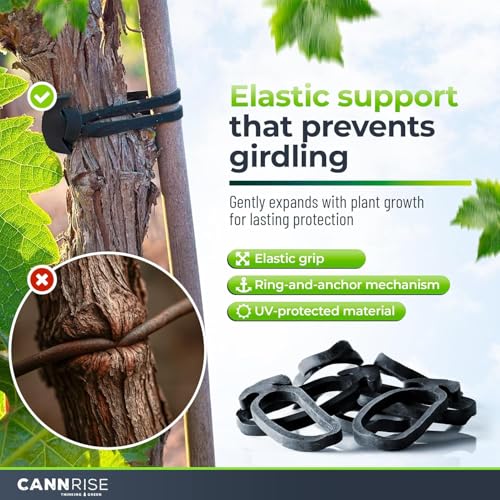 Anchor Bands for Trellising – 140-Pack 16 cm/ 6.3 Inch Rubber Vine Ties, UV-Protected Bands: Grapevines, Trees & Climbing Plants – Tool-Free Loop-and-Anchor Design for Install, Weatherproof - size: 140 pack / 6.2"