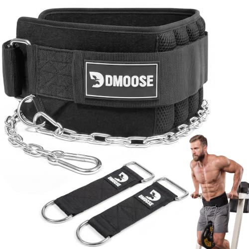 DMoose Fitness Dip Belt for Weight Lifting, Pullup, Squats & Dips - 36" Robust Steel Chain, Comfortable Neoprene Padding Supports 350lbs - Gym Weight Belt for Strength Training Workout & Weightlifting - color: Charcoal