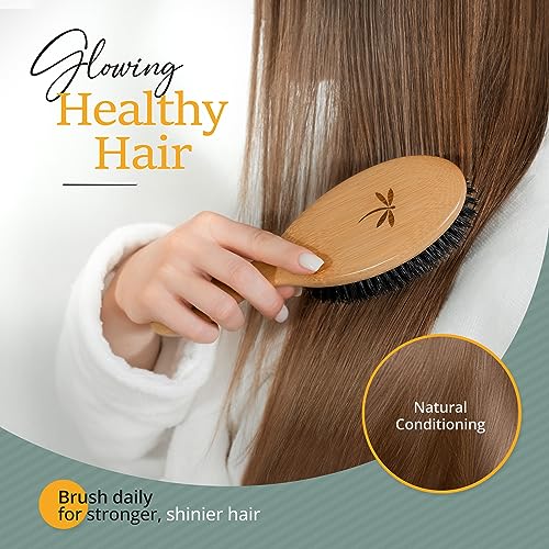 100% Boar Bristle Hair Brush for Women Set by Belula (L Size). Soft Natural Bristles for Thin and Fine Hair. Wooden Comb, Travel Bag and Spa Headband Included! - size: Large