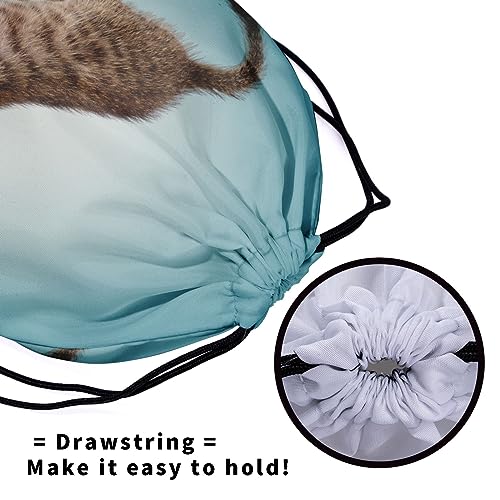 Gymnastics Grip Bag for Gymnasts Gymnastic Drawstring Bag Gym Athlete Bag - color: Blue Gymnastics Cat, size: 9.25" x 12" (Pack of 1)