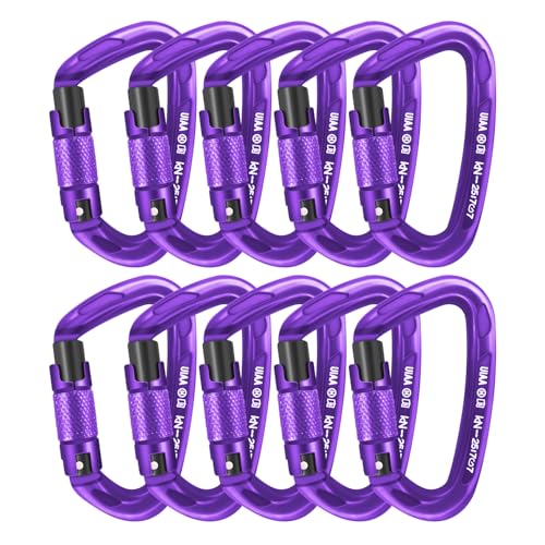 UIAA Certified Professional Heavy Duty Large Locking Carabiner Clips Climbing Carabiner 25kN Auto Locking Carabiner for Rock/Ice Climbing Rappelling Rescue Swing etc, D Shaped