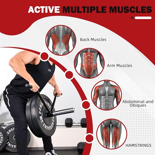 Fitvids Cable Attachment Set 800LB LoadCapacity Tricep Rope, Row Handle, StraightBar, V Bar Commercial Grade Cable MachineAccessories for Home Gym Workouts - size: 1-Piece Row V Bar-Black
