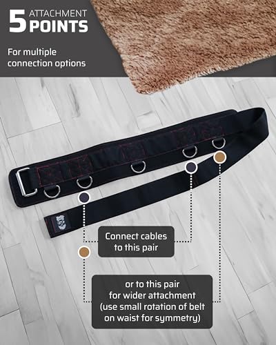 THEFITGUY Original Multi-Attachment Belt for Cable Squats & Hip Thrusts | 5 D-ring points, 2 straps (40in/27in), hook-and-loop closure, fits a 32-52in waist for glute and quad work
