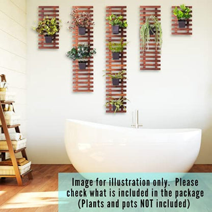 ShopLaLa Wooden Wall Planter for Succulents (40cm) Air Plant Wall Hanger | Indoor Outdoor, Live Orchid Wall Wood Display Frame Vertical Garden Balcony Deck Bathroom Macetas para Plantas De Aire - size: 40cm (15.7")