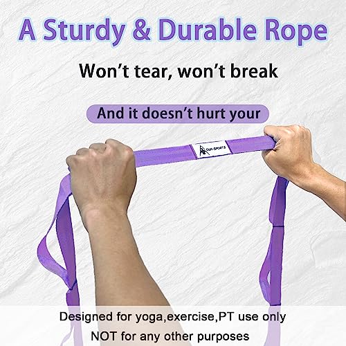 Stretching Strap Yoga Strap with Loops, Stretch Straps for Physical Therapy, Non-Elastic Exercise Strap for Pilates, Dance and Gymnastics with Workout Guide - color: Purple+Purple