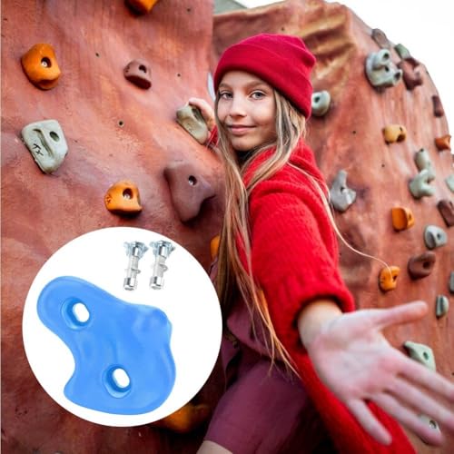 Climbing Hand Foot Holds Grip Kits 10pcs Climbing Holds Stones Plastic Large Climbing Rocks Outdoor Playground Set for Kids - color: Blue