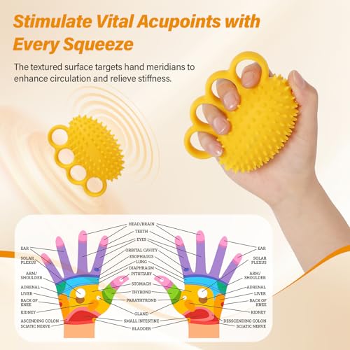 Fanwer Hand Exercise Squeeze Balls for Hand Therapy, Grip Strength Trainer | Hand Massage Stress Balls, Hand Strengthener for Adults, Seniors & Disabled, Rehab, Arthritis, Carpal Tunnel