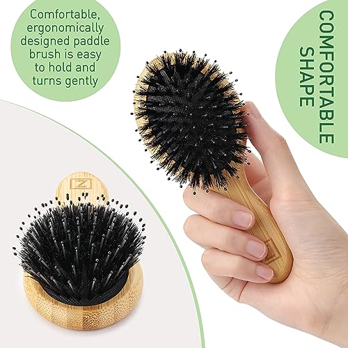 Natural Boar Bristle Hair Brush mini size, portable, easy carry for Women, Men, Kids; Dry and Wet Detangling Hair Brush Gently Enhances Shine, for Fine and Straight, Thick and Curly Hair