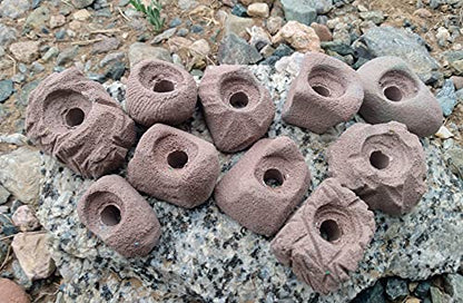 Small Holds Climbing Pack of 10 Bolt-on Holds of Foot and Crimp Size - color: Brown