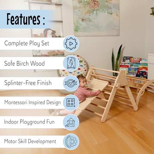 Montessori Wooden Climbing Set for Kids | Montessori Climbing Triangle Climbing Dome Ramp and Pillow | Montessori Climbing Frame Set for Toddler | Montessori Playground | Kids Play Gym(Dino) - style: Dino
