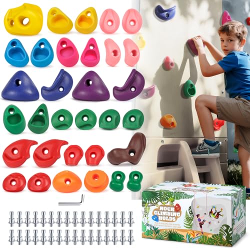 TOPNEW 32 Rock Climbing Holds Multi Size for Kids, Adult Rock Wall Holds Climbing Rock Wall Grips for Indoor and Outdoor Playground Play Set - Includes 2 Inch Mounting Hardware - style: 32 Pcs-Multicolor Color