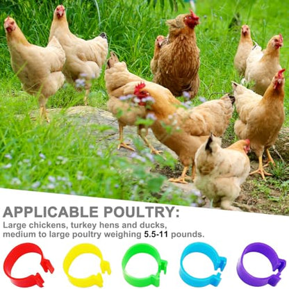 100Pcs 20mm Large Chicken Identification Leg Bands Duck Leg Bands Poultry Leg Bands Rings 8/16/20/25mm - size: 20mm - 100Pcs