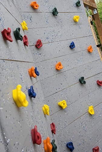 Squirrel Products Bag of 100 2" Rock Climbing - Rock Hold Bolts