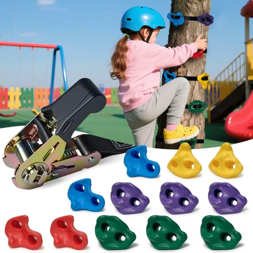 12 PCS Large Ninja Tree Climbing Holds for Kids,Tree Rock Climbing Kit with 6 Ratchet Straps for Kids,Large Rock Climbing Holds for Outdoor Ninja Warrior Obstacle Course Training - color: 12pcs