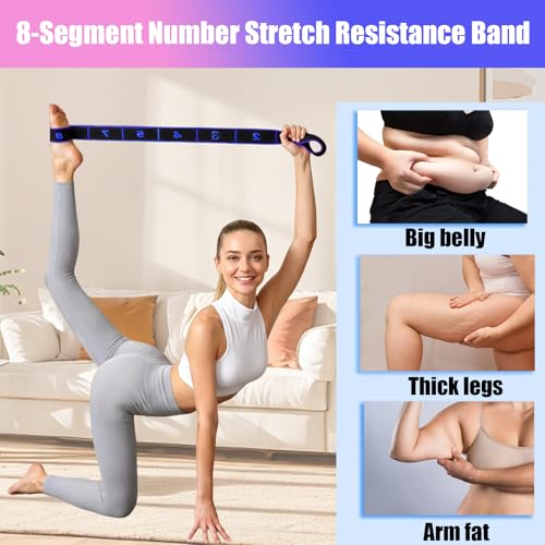 2PCS Fitness Resistance Band with Handles, Numbered 8 Segment Stretch Resistance Bands, Adjustable Stretching Exercise Band for Full Body Workout & Body Shaping - color: rose+blue