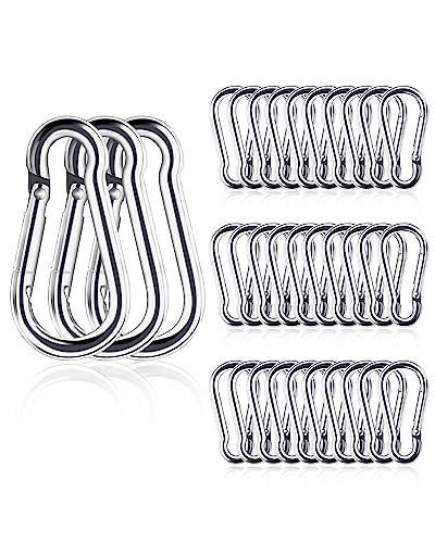 Small Carabiner Clip, 30pcs 1.57inch Mini Carabiners Clips, M4 Stainless Steel Spring Snap Hook Heavy Duty, Locking Carribenares for Climbing Hiking Camping Fishing