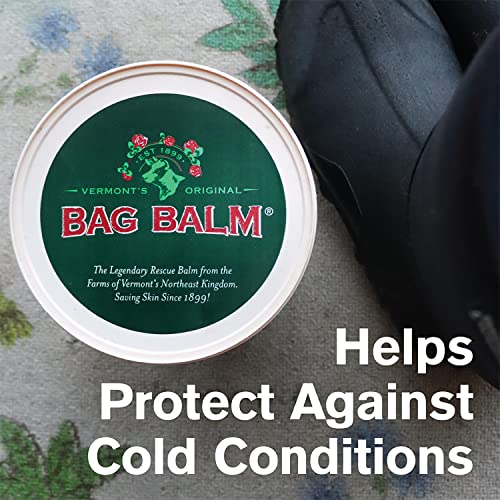 Bag Balm Vermont's Original Hand & Skin Moisturizer, Cracked Heels Treatment, Dry Hands & Dogs Ointment - 72oz Pail - size: 72 Ounce (Pack of 1)