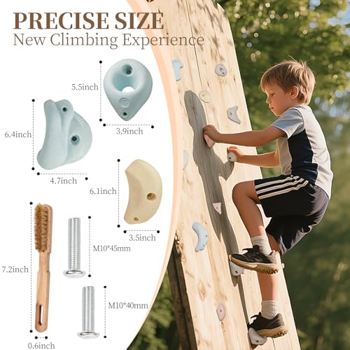 Premium Resin Rock Climbing Holds for All Ages, Large Training Rock Climbing Wall Grips Indoor/Outdoor, Rock-Like Texture Climbing Wall with Mounting Hardware - color: 30 Pcs