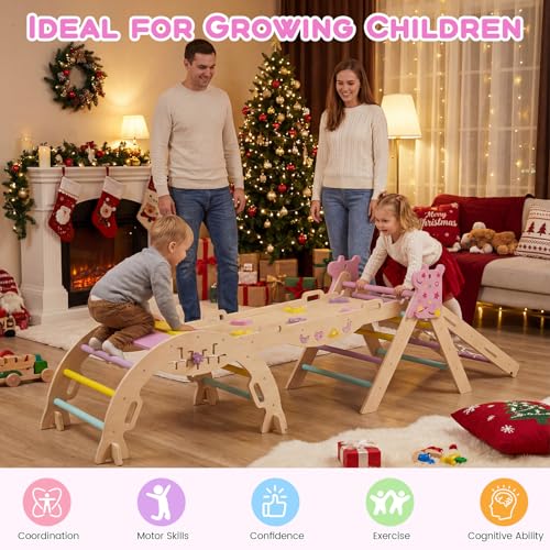 HONEY JOY Pikler Triangle Set, 9 in 1 Foldable Wooden Triangle Climber w/Arch, Ramp, Climbing Rope & Ladder, Baby Indoor Playground Jungle Gym, Montessori Climbing Toy for Toddlers (Purple) - color: Purple