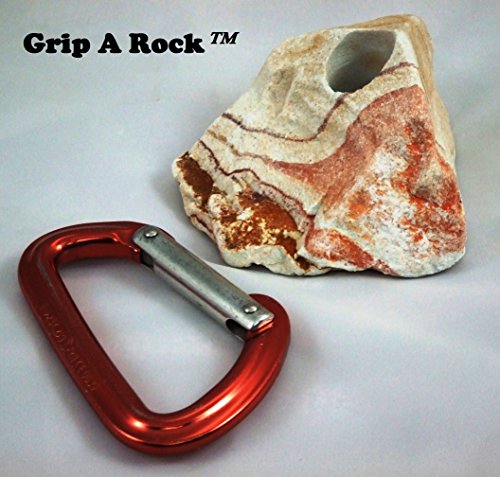 15 Rock Climbing Holds, Rock Climbing Equipment, Adult & Kids Climbing Wall, Bolt-ON