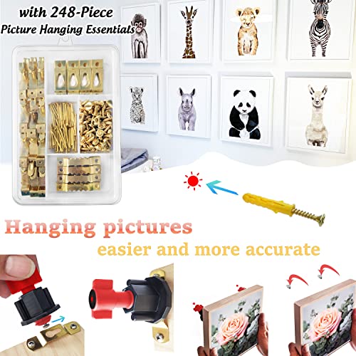 DIKOO Picture Hanging Keyhole Marked Tools and Frame Hanger Hooks Assorted | 248 Pieces Assortment with Picture Hanging , Nails, Single Keyhole Hangers and Sawtooth Hangers for Wall Mounting Supplies