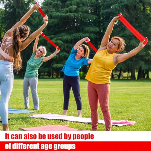 Deekin 20 Pcs Resistance Bands Resistance Loop Exercise Bands Exercise Equipment Elastic Drap Ring for Women and Men Home Fitness, Gym, Yoga - color: Red, size: 35-40 lbs