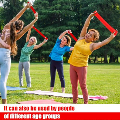 Deekin 20 Pcs Resistance Bands Resistance Loop Exercise Bands Exercise Equipment Elastic Drap Ring for Women and Men Home Fitness, Gym, Yoga - color: Red, size: 35-40 lbs