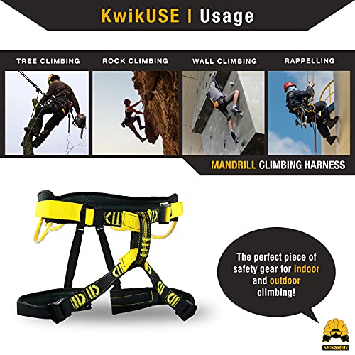 KwikSafety - Charlotte, NC - MANDRILL & CANOPY KING Climbing Harness | Half Body, Full Body | Meets EN & CE - color: 1 Pack | Half Body Harness, size: Half Harness + Tool Lanyard