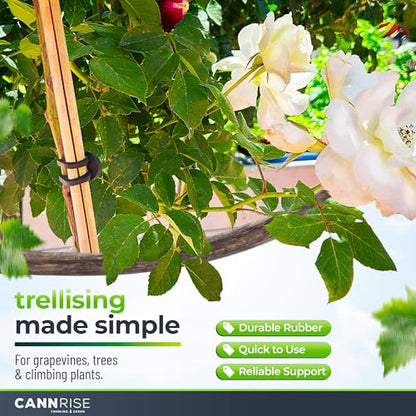 Anchor Bands for Trellising - 33-Pack 12 cm/4.72 in Rubber Vine Ties, UV-Protected Bands: Grapevines, Trees & Climbing Plants – Tool-Free Loop-and-Anchor Design for Install, Weatherproof - size: 33 pack / 4.72"