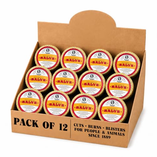 Rawleigh Antiseptic Salve Iconic Yellow Big Tin: 4.5 oz, (Pack of 12) | Soothing Relief for Cuts, Burns, Blisters & Chapped Skin | for People & Animals | Made in USA | Century-Old Formula. - size: 4.5 Ounce (Pack of 12)